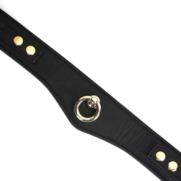Liebe Seele - Dark Secret - Exclusieve Curved Collar Met Leiband En Gouden Hardware - Zwart/Goud-Laced-up.nl