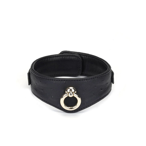 Liebe Seele - Demon's Kiss - Curved Collar Met Leash - Luxe En exclusief ontwerp - Zwart/Goud-Laced-up.nl