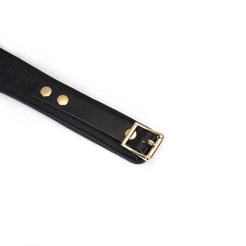 Liebe Seele - Demon's Kiss - Curved Collar Met Leash - Luxe En exclusief ontwerp - Zwart/Goud-Laced-up.nl