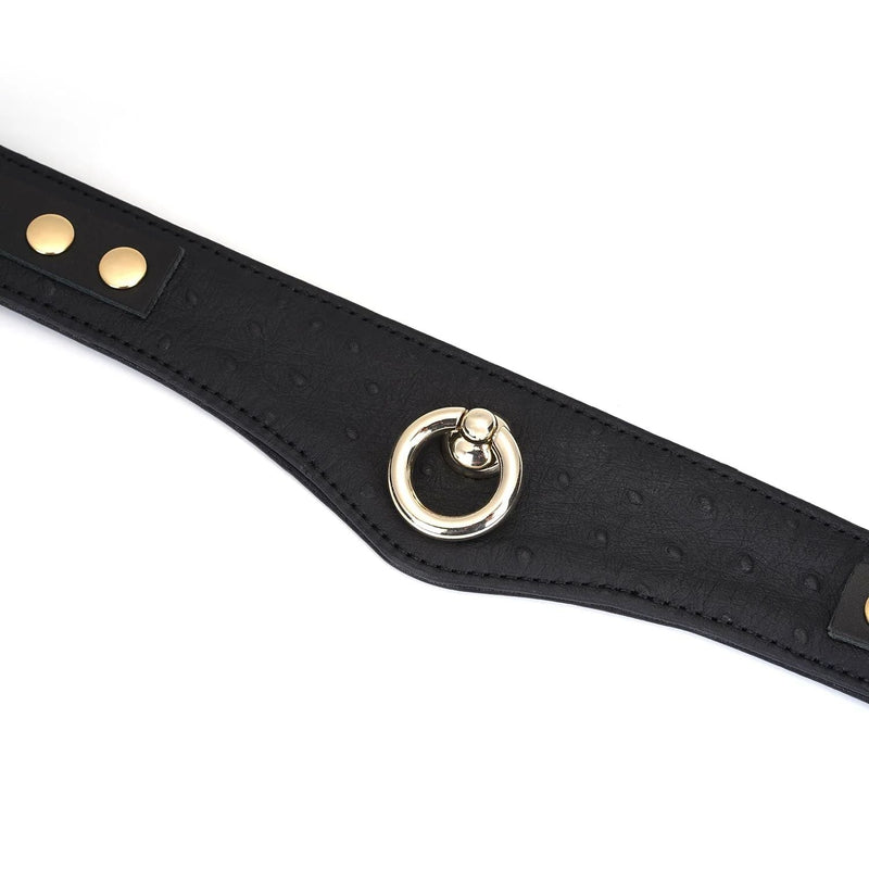 Liebe Seele - Demon's Kiss - Curved Collar Met Leash - Luxe En exclusief ontwerp - Zwart/Goud-Laced-up.nl