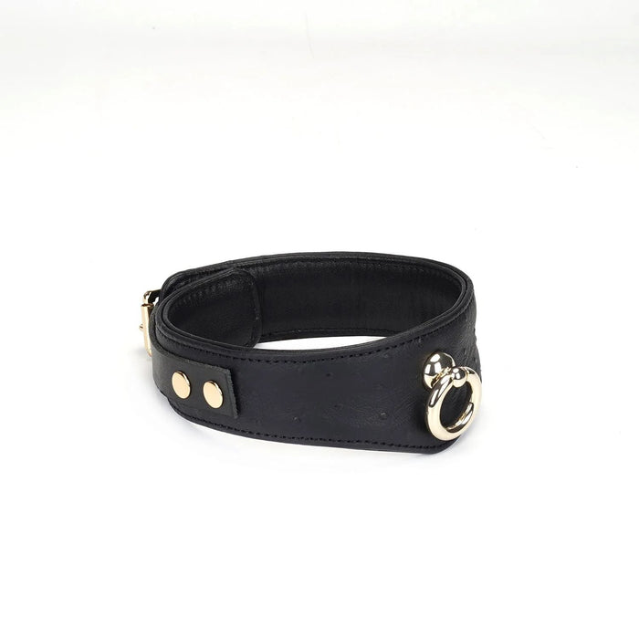 Liebe Seele - Demon's Kiss - Curved Collar Met Leash - Luxe En exclusief ontwerp - Zwart/Goud-Laced-up.nl