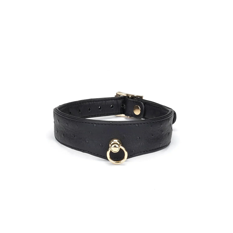 Liebe Seele - Demon's Kiss - Schmales, geschwungenes Halsband mit Leine - Luxuriöses und exklusives Design - Schwarz/Gold - Laced-up.nl