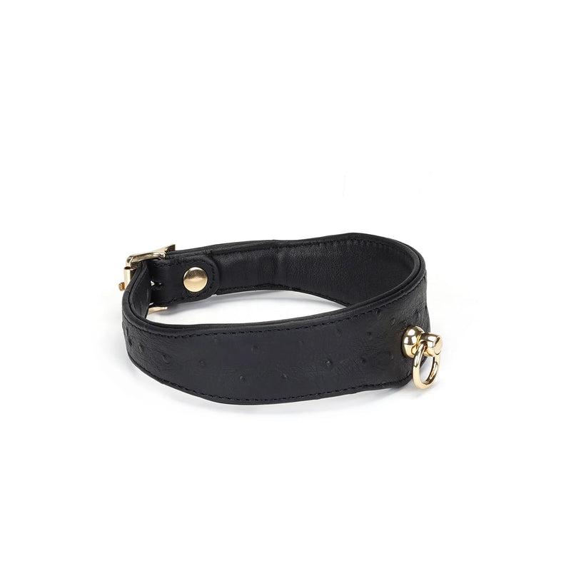 Liebe Seele - Demon's Kiss - Schmales, geschwungenes Halsband mit Leine - Luxuriöses und exklusives Design - Schwarz/Gold-Laced-up.nl