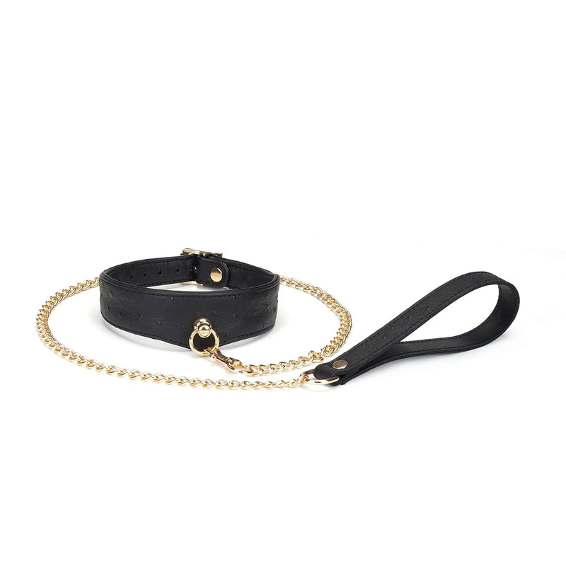 Liebe Seele - Demon’s Kiss - Schmales, gebogenes Halsband mit Leine - Luxuriöses und exklusives Design - Schwarz/Gold - Laced-up.nl