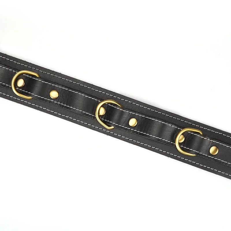 Liebe Seele - Warrior Princess - Stoere Lederen Collar met Messing Hardware - Zwart - Uit Japan-laced-up.nl