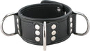 Mister B - Ruige Collar - Afsluitbare Leren Halsband met 3 D-Ringen - Verstelbaar - Zwart - Maat Small-Laced-up.nl