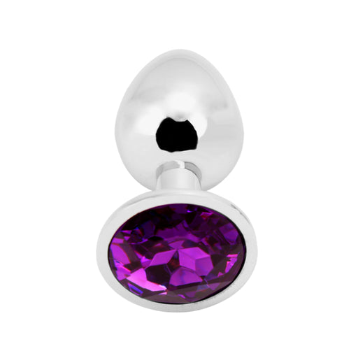 PLGZ - Rosebud Metalen Buttplug - Zilver - Paarse Siersteen - Verkrijgbaar in 3 maten-Laced-up.nl