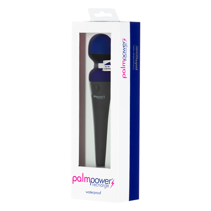 PalmPower - Recharge Wand Massager - Flexibele Kop - Blauw/Zwart-Erotiekvoordeel.nl
