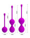 Pretty Love - Kegel Ball Trainingsset - Vaginale Balletjes-Laced-up.nl
