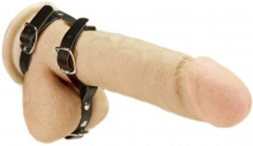 Rimba - Sangles péniennes - Sangle pénienne de luxe avec sangles pour testicules - Cuir - Laced-up.nl