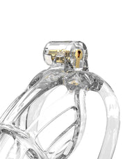 Rimba P-Cage - P-Cage PC01 - Cage de chasteté - Cage à pénis - Taille M - Transparent - Laced-up.nl