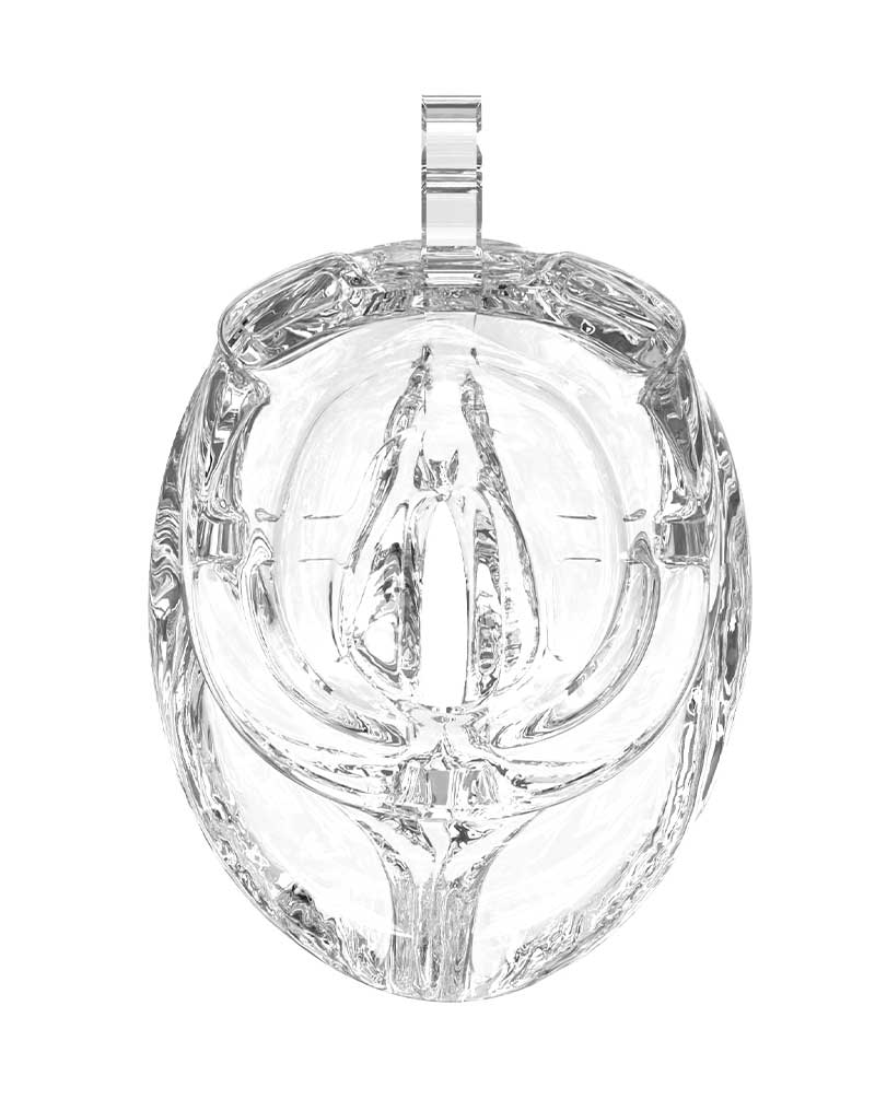 Rimba P-Cage - P-Cage PC10 - Chastity Cage - Penis Cage - Pussy - Clear-Laced-up.nl