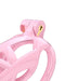 Rimba Toys - P-Cage PC01 - Kunststof Kuisheidskooi - Peniskooi - Chastity - Roze - Verkrijgbaar in 3 maten-Laced-up.nl