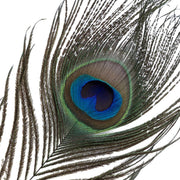 Sevanda - Natural Peacock Flirting - Veren Kietelaar met Verwisselbare Veren - Goud/Zwart-laced-up.nl
