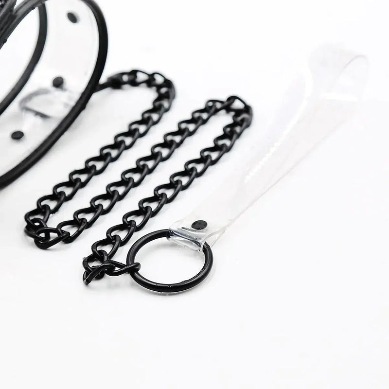 Smart Moves - Collar met Leiband - Transparant-Laced-up.nl