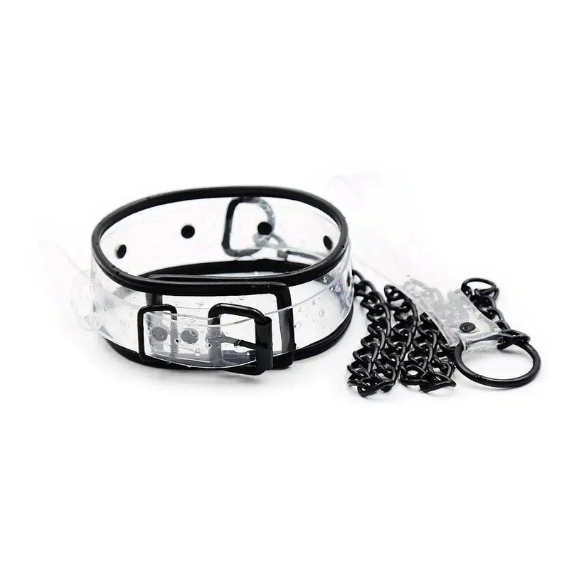 Smart Moves - Collar met Leiband - Transparant-Laced-up.nl