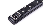 Smart Moves - Padded Collar - Includes Leash - Black-Laced-up.nl