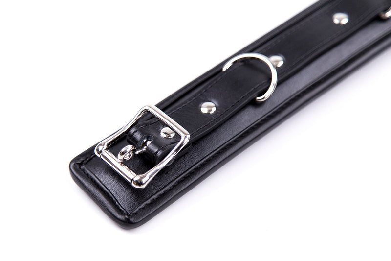 Smart Moves - Padded Collar - Includes Leash - Black-Laced-up.nl