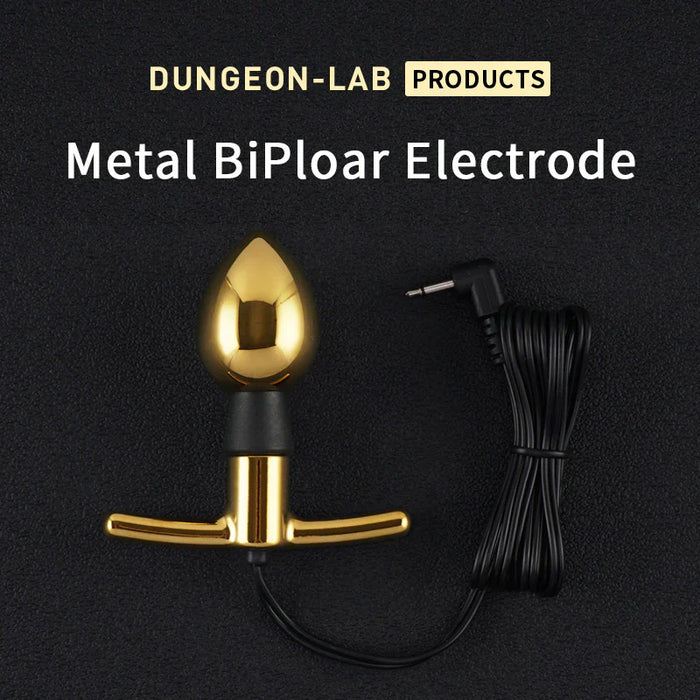 Dungeon Lab Bi-Polaire Electro Plug - Goud-laced-up.nl