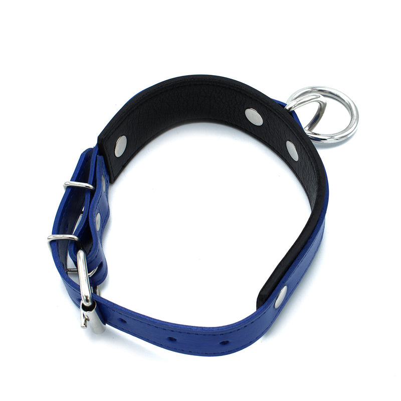 Kiotos - Zwart/Blauwe Lederen Collar met Grote O-Ring-laced-up.nl