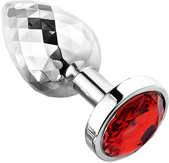 PLGZ - Diamond Facets Anaal Plug - Zilver met Rode Siersteen-laced-up.nl