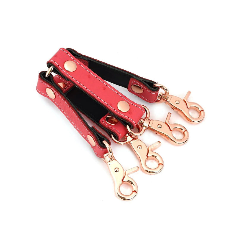 Liebe Seele - Angel's Kiss Exclusieve Leren Hogtie - Roze/Rosé Goud-Laced-up.nl