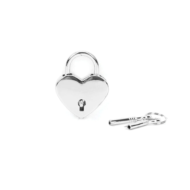 Liebe Seele - Hartvormige Luxe slotjes Voor Boeien - Twee Stuks - Zilver-Laced-up.nl