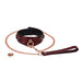 Liebe Seele - Wine Red Curved Collar Met leiband En hartvormig slot - Luxe ontwerp collar-Laced-up.nl