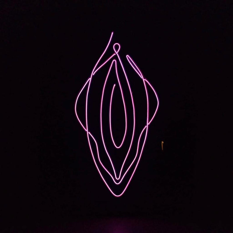 Wandschild mit beleuchtetem Text VAGINA