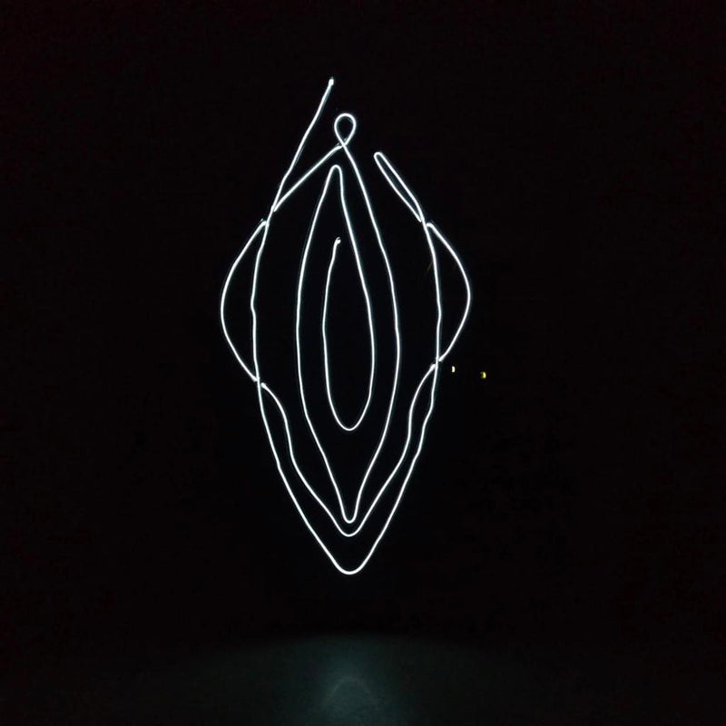 Wandschild mit beleuchtetem Text VAGINA