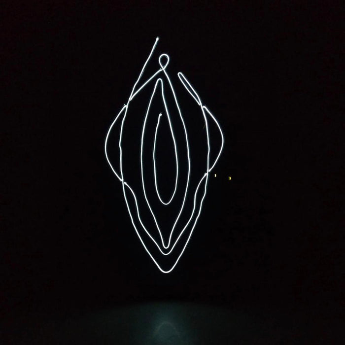 Wall sign with illuminated text VAGINA