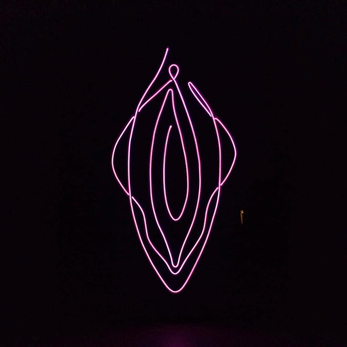 Wall sign with illuminated text VAGINA