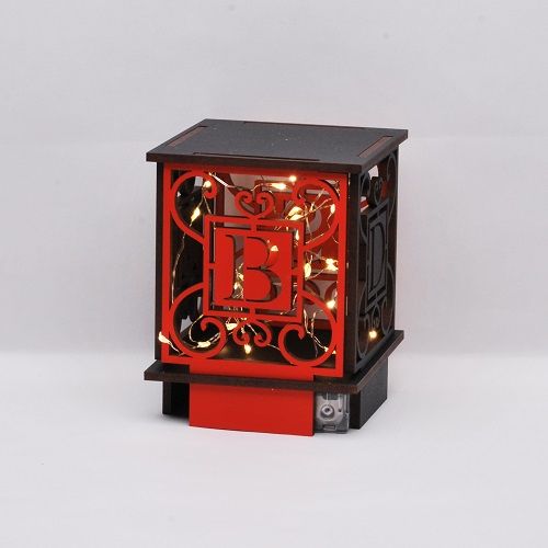 Laced-Up Lasered Cube BDSM avec lumière